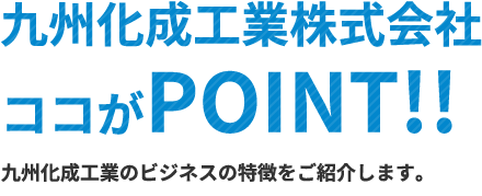 九州化成工業が提供するビジネスの特徴